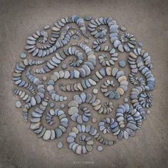 a circle made out of rocks on the ground with shells arranged in it's center