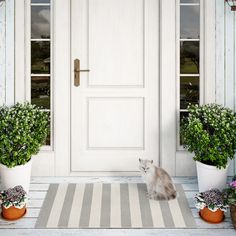 a cat sitting in front of a white door with potted plants on the porch