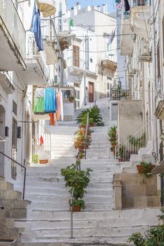 an alleyway with stairs and potted plants on either side, in the city