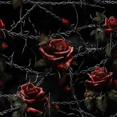 a bunch of red roses that are on some barbed wire, with one flower in the middle