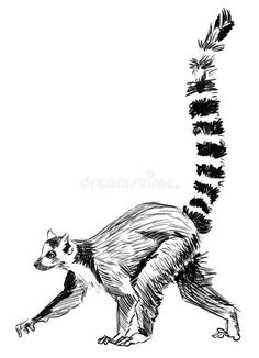 an ink drawing of a monkey with feathers on it's tail and legs royalty illustration