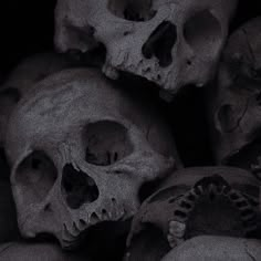 a pile of skulls sitting next to each other