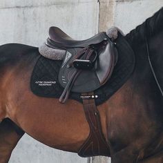 a brown horse with a saddle on it's back standing in front of a wall