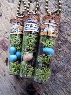 three glass bottles filled with moss and small blue balls