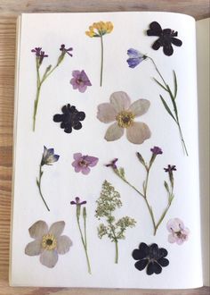 an open book with pressed flowers on it