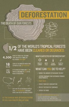 Deforestation Facts, Save Our Earth, Environmental Awareness, Environmental Issues, Environmental Science, Save Earth, Earth Day