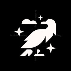 a black and white bird with stars on it's head, sitting in the dark