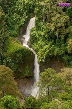 a waterfall in the middle of some trees