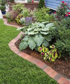 a garden filled with lots of green plants and flowers next to a brick walkway in front of a blue house