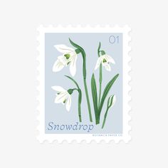 a postage stamp with snowdrops on it