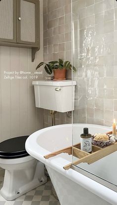 a bath tub sitting next to a toilet in a bathroom with a plant on top of it