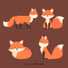 four different types of foxes on brown background