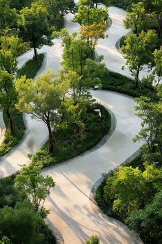 an aerial view of a winding road surrounded by trees and bushes in the middle of a park