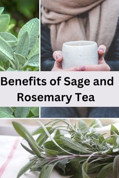 the benefits of sage and rosemary tea