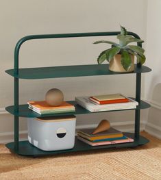 a green shelf with books and a potted plant