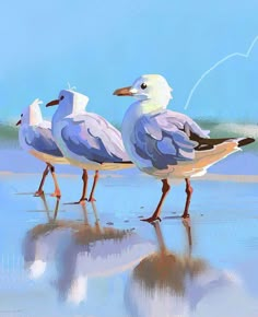 three seagulls are walking on the beach together