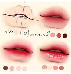 the different lip shapes are shown in this drawing