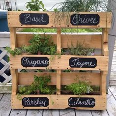 a wooden pallet filled with plants and herbs