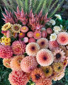 a bunch of flowers that are sitting in the grass with some plants around them and one is pink