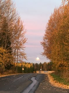 an empty road surrounded by trees with the moon in the sky above it and some leaves on the ground