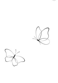 two butterflies flying in the air on a white background, one is drawn with black ink