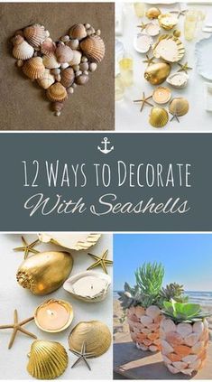 there are many seashells and shells in this collage with the words 12 ways to decorate with seashells