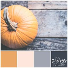 a pumpkin sitting on top of a wooden table next to a color swatch that says the palette muse