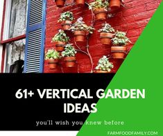 a red brick wall with potted plants on it and the words, 61 vertical garden ideas you'll wish you knew before