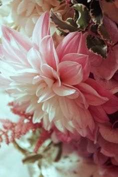 pink and white flowers in a glass vase