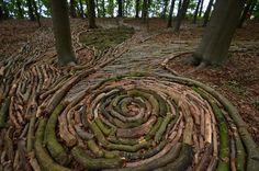 a pathway made out of tree trunks in the woods