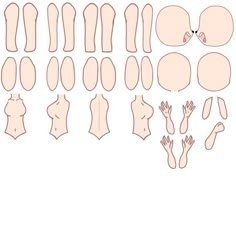 an image of different types of human body parts