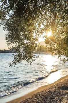 the sun shines through some trees over the water on a beach with waves coming in