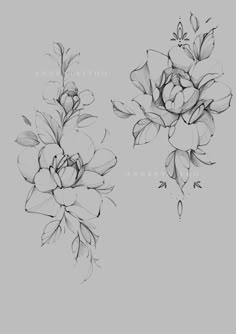 two drawings of flowers on a gray background