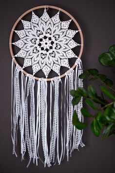 a white crocheted doily hanging on a wall next to a potted plant