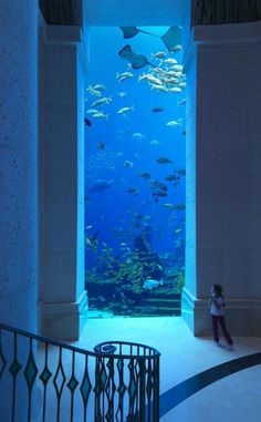 Amazing Underwater hotel in Dubai. Hotel In Dubai, Underwater Hotel, الإمارات العربية المتحدة, Future Travel, Alam Yang Indah, Pretty Places, Dream Destinations, Places Around The World