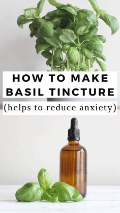 Holy basil is renowned for its medicinal properties, which range from helping to reduce stress and anxiety to supporting the immune system to even aiding digestion. Using only two ingredients, basil tincture is easy to make. Basil Tincture Recipe, How To Make Basil Essential Oil, Holy Basil Tincture, Basil Medicinal Uses, Basil Tincture Benefits, Tinture Recipes, Basil Uses, Basil Tincture, Rosemary Tincture