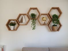 four hexagonal shelves with plants on them against a wall above a couch in a living room