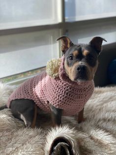 a small dog wearing a pink sweater on top of a furry rug in front of a window