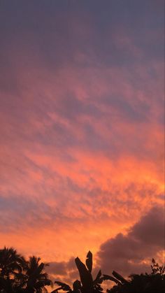 the sky is pink and orange as the sun sets in the distance behind some trees