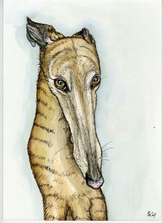 a drawing of a dog with an odd look on it's face and neck