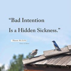 two birds sitting on top of a roof with the caption'bad intention is a hidden sickness '