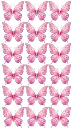 many pink butterflies with white background