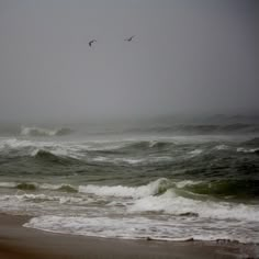 two birds flying over the ocean on a foggy day