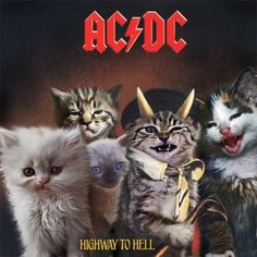 a group of kittens wearing devil horns are standing in front of an ac dc poster