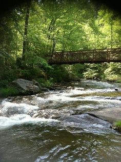 a wooden bridge over a river surrounded by trees and rocks with water running under it