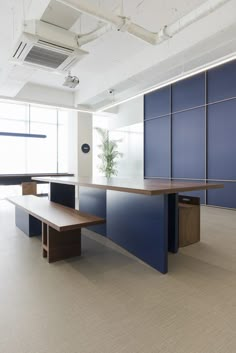 an empty office space with blue and brown desks in front of a plant on the wall