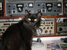 a black cat sitting on top of a table next to an old radio and other electronics