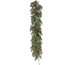 a christmas garland with lights and berries hanging from it's side on a white background