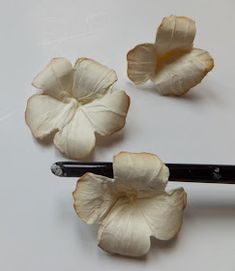 three white flowers sitting on top of a table next to a pair of black scissors