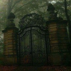 an iron gate in the middle of a park